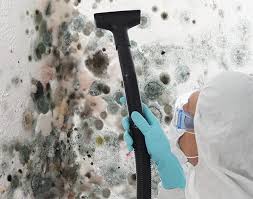 Professional Mold Inspection in Sunnyvale, CA